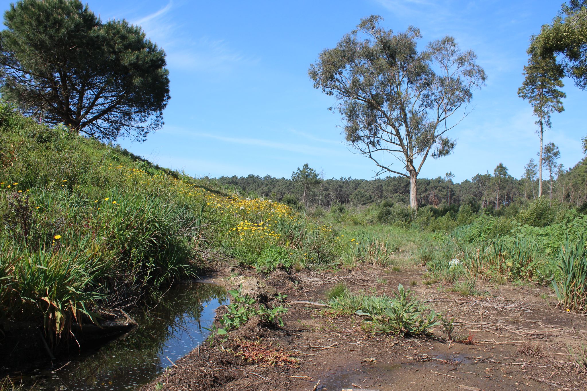 Aterro sanitário de Maceda ameaça contaminar orla costeira